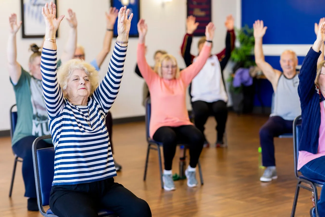 Older adults in seated movement exercise, guided by a 3D coach in virtual reality