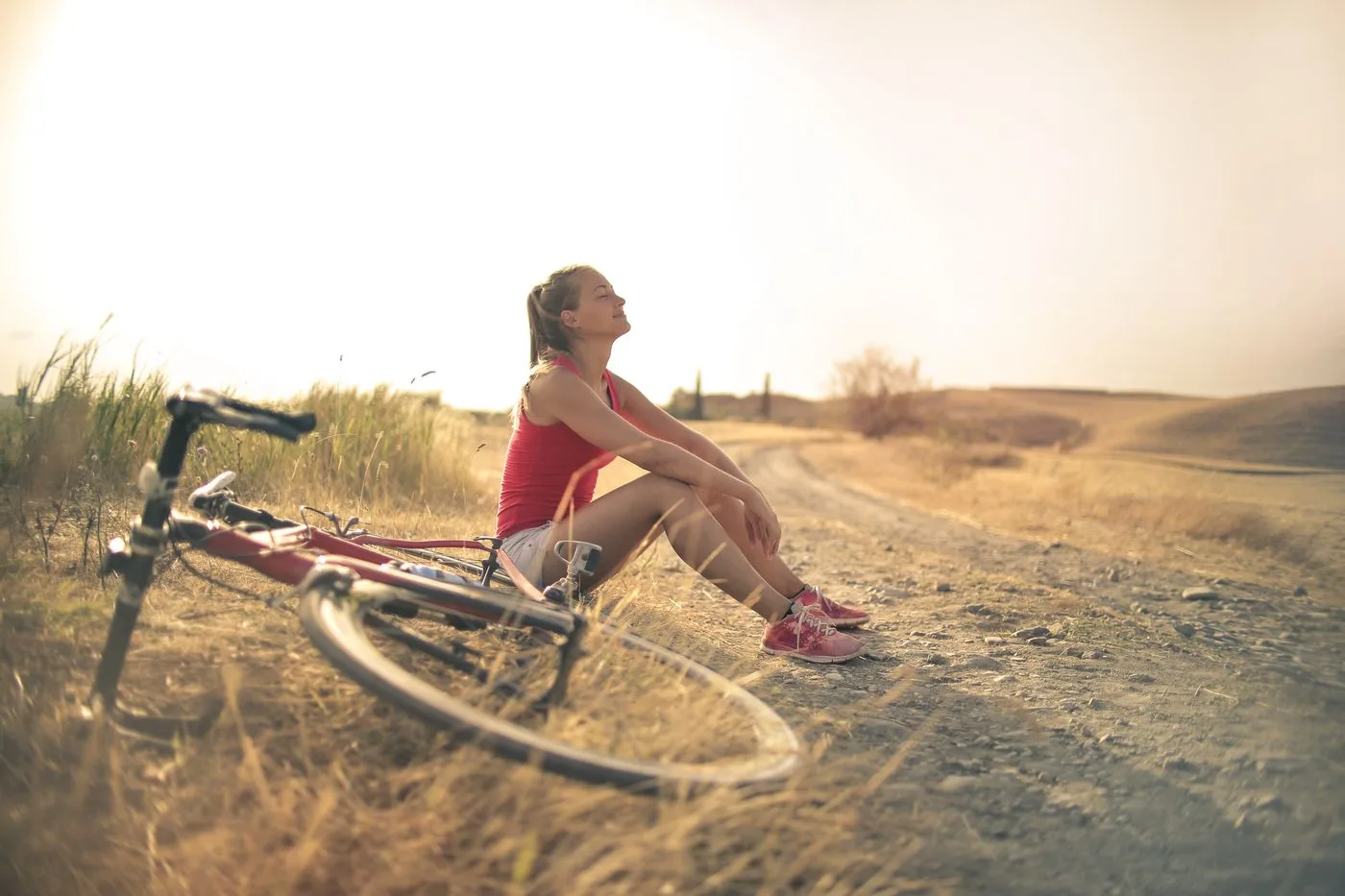 Bike ride through the countryside: seated virtual cycling in virtual reality